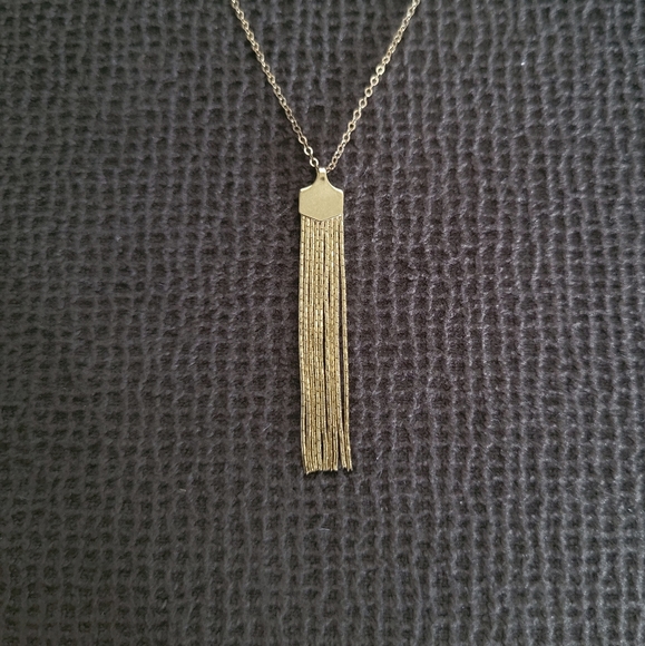 Silver🤍 Wren🪶 Dainty Gold💛 Tassel Necklace - Picture 3 of 12